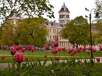 USU campus with tulips and Old Main